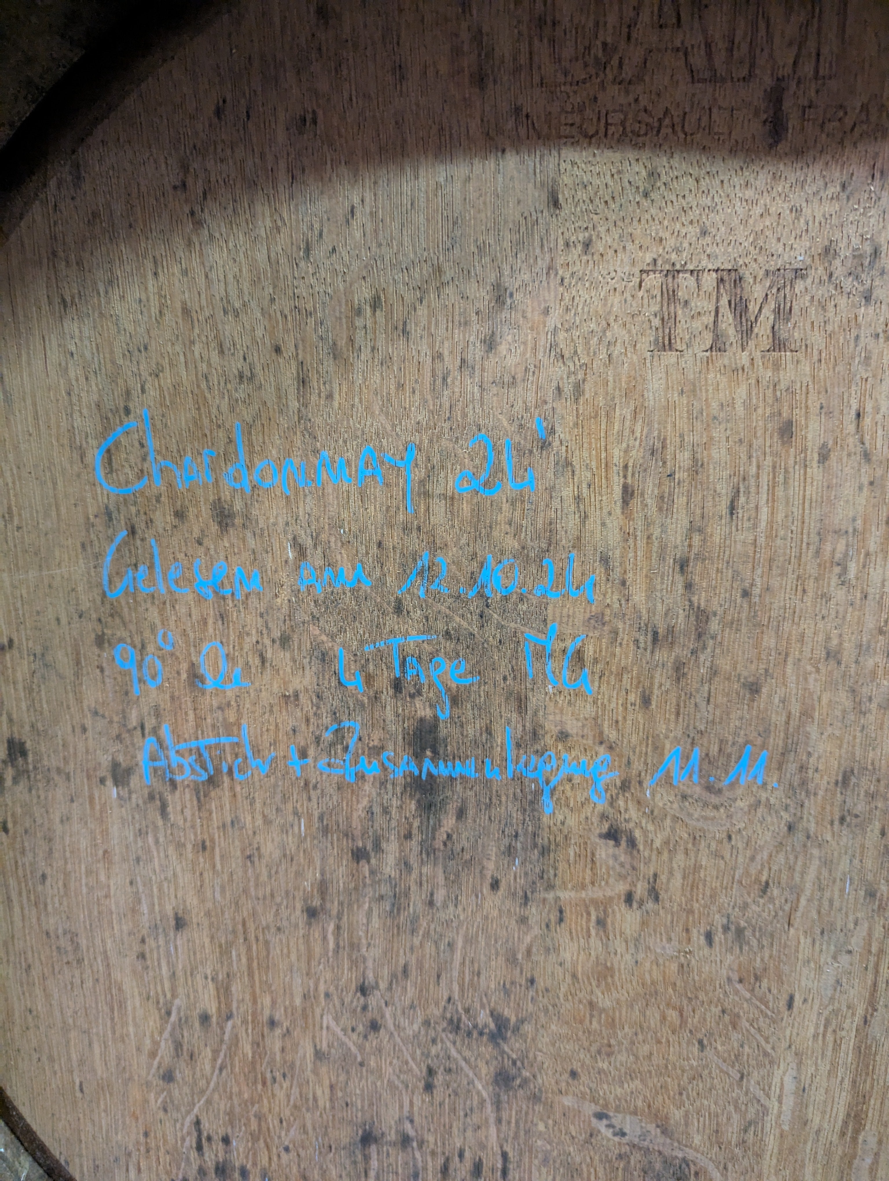 Chardonnay 2024 - One season Wine