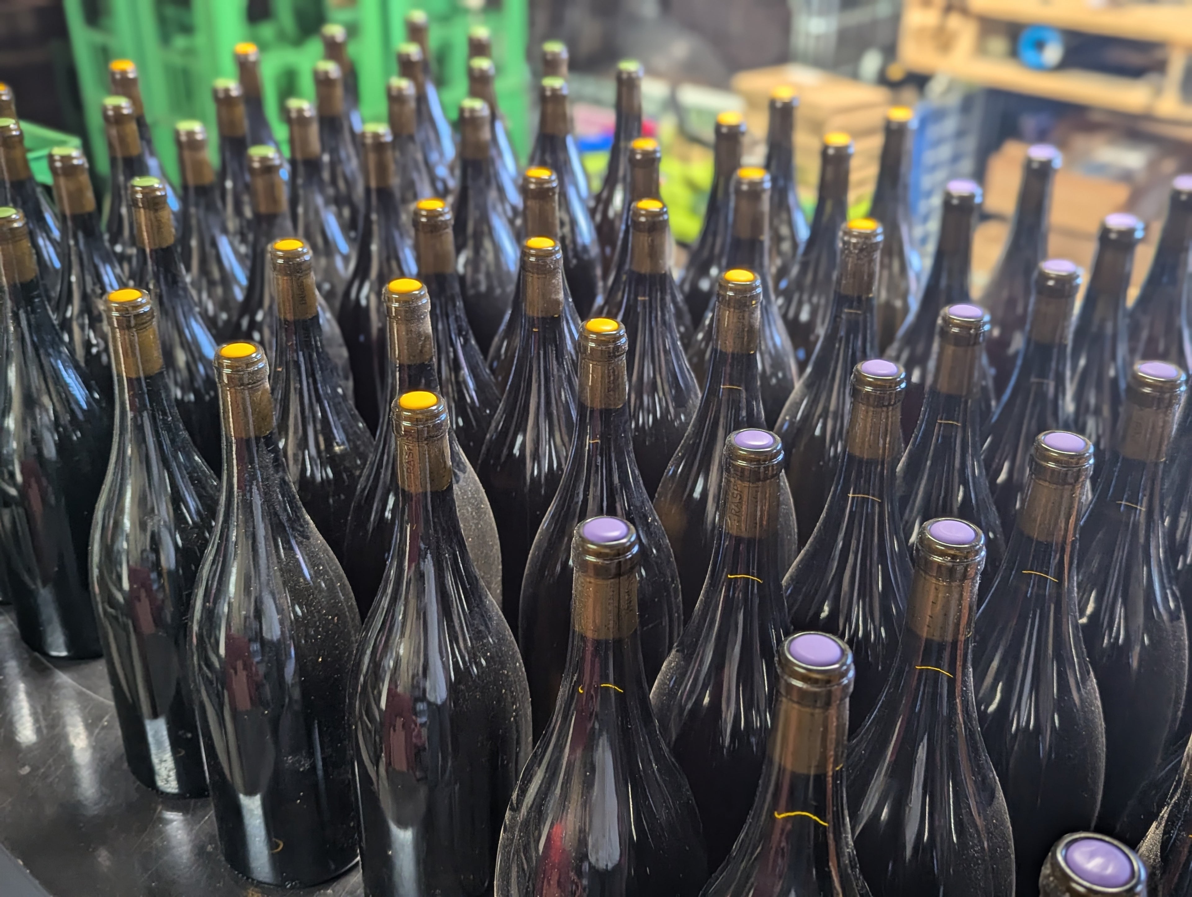 Raspini Weine für die Weinprobe